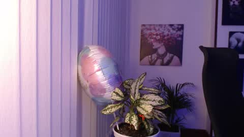 Hera online show from November 27, 2025, 10:06 am