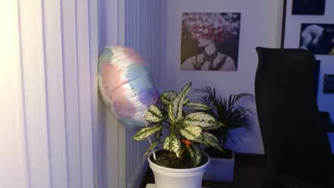 Hera online show from November 29, 2025, 10:07 am