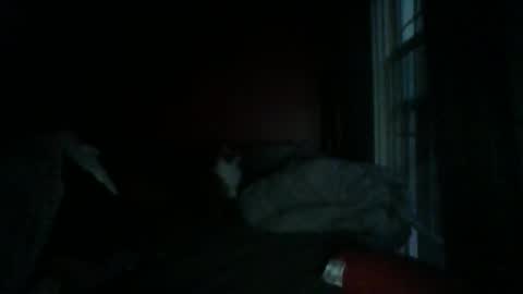 Chris Williams online show from January 4, 2025, 12:27 pm