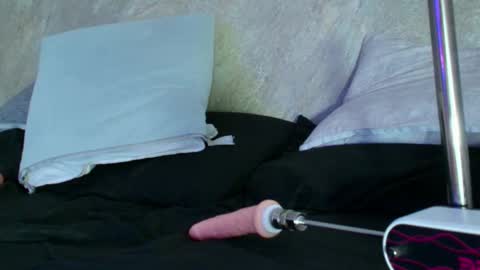 Snapshot of dixie_grey1 chatting on September 11, 2025, 2:50 pm Sofia online show from September 11, 2025, 2:50 pm