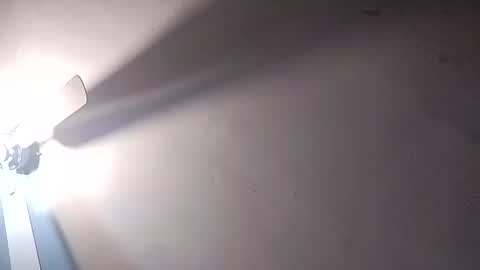 dixonbird41 online show from February 25, 2025, 6:20 pm