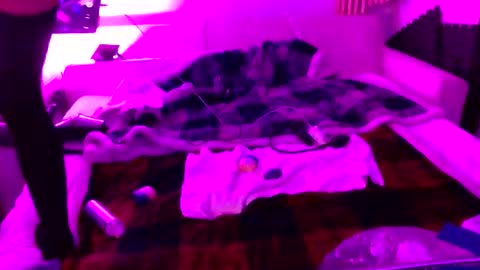 Izzy Knyx online show from December 22, 2025, 4:31 am