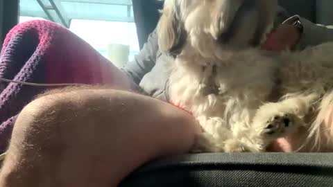 Snapshot of dkdad1966 chatting on December 15, 2025, 9:13 am DKdad online show from December 15, 2025, 9:13 am