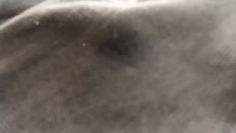 dlov3 online show from February 8, 2026, 10:13 pm