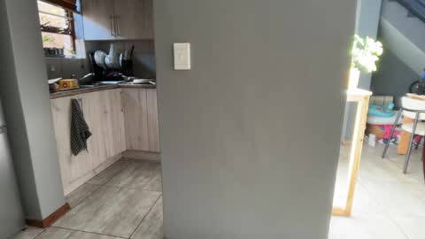 Dmitri online show from April 28, 2026, 8:30 am