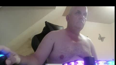 doggy2629 online show from July 14, 2026, 4:02 pm