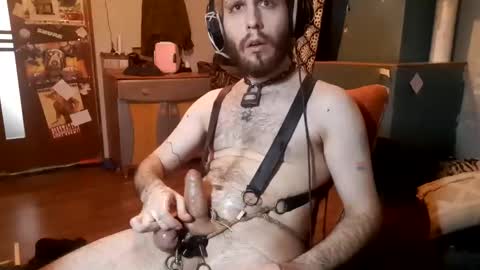 dogwithamohawk online show from February 7, 2025, 2:37 pm