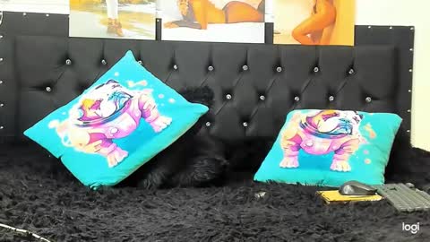 C E L E S T E  online show from December 22, 2024, 4:06 pm