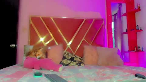 dollcute_latin online show from May 1, 2026, 10:03 pm