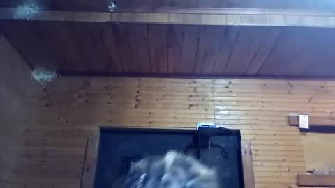 dollface_89 online show from September 29, 2025, 3:00 am