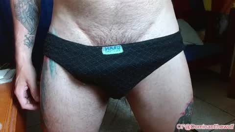Snapshot of dominantthewolf chatting on May 27, 2026, 5:04 am Logan - INDEPENDET MODEL online show from May 27, 2026, 5:04 am