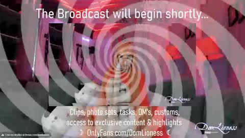 DomLioness online show from October 31, 2025, 11:17 pm