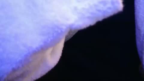 Snapshot of domse999 chatting on February 17, 2025, 11:34 am domse999 online show from February 17, 2025, 11:34 am