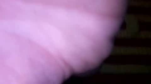 Snapshot of dougiebisme chatting on May 31, 2026, 1:29 pm dougiebisme online show from May 31, 2026, 1:29 pm