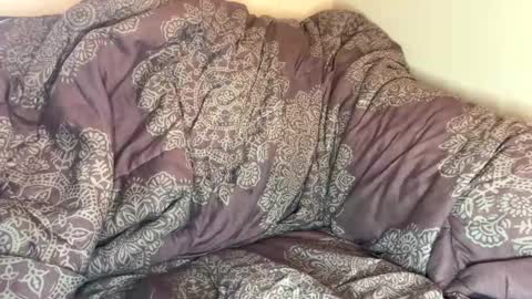 dove_love22 online show from October 22, 2025, 6:18 pm