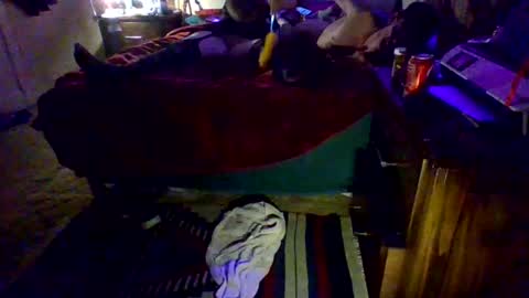 Snapshot of dowhatuwantwithme100 chatting on February 9, 2026, 5:00 am Driver Dick Kylie Tits online show from February 9, 2026, 5:00 am