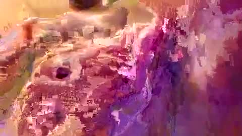 down2fuckyobitch online show from September 19, 2025, 4:14 am