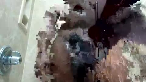 MrPirated online show from January 18, 2026, 1:59 pm