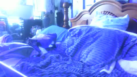 Snapshot of dreaded_folks chatting on December 16, 2025, 4:12 pm dreaded_folks online show from December 16, 2025, 4:12 pm