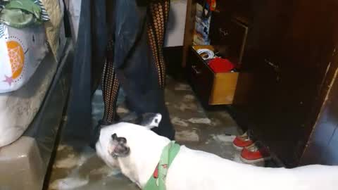 dreamreal online show from February 8, 2026, 12:08 pm