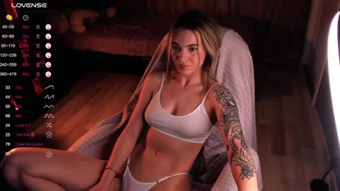 Snapshot of dreamaise chatting on December 13, 2024, 10:51 am  Mary   pvt open    use pink and blue app lovense online show from December 13, 2024, 10:51 am