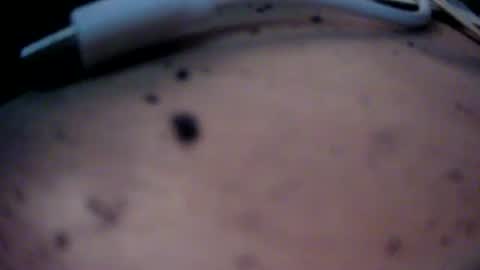 dreamy2020 online show from January 22, 2025, 4:12 pm