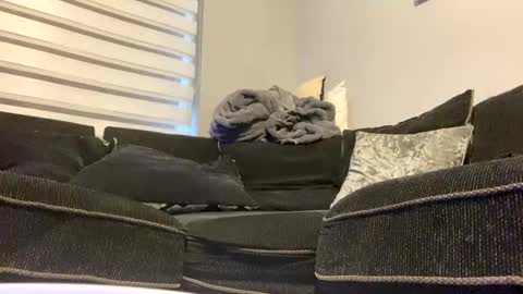 drippinggenie online show from December 26, 2024, 2:05 pm