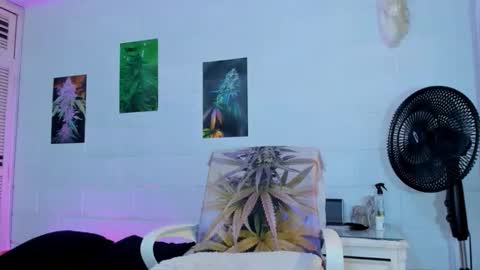 drippyorlove online show from March 3, 2026, 8:48 pm