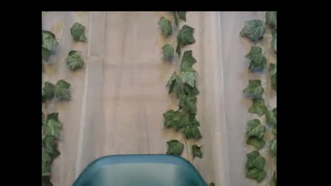 linda online show from October 31, 2025, 1:39 am