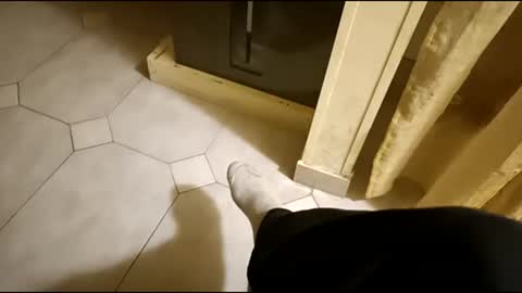 dthedog12 online show from March 1, 2025, 9:48 pm