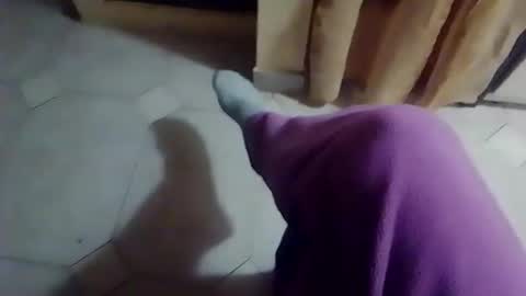 dthedog12 online show from February 19, 2026, 10:06 pm