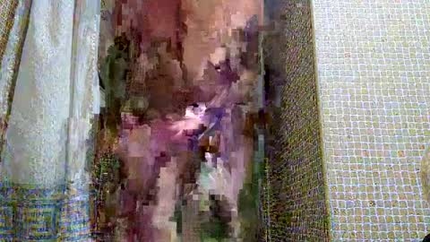 Snapshot of dublindub12 chatting on March 2, 2025, 10:03 am dublindub12 online show from March 2, 2025, 10:03 am