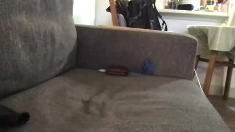 dulcemelo online show from March 17, 2026, 5:05 pm