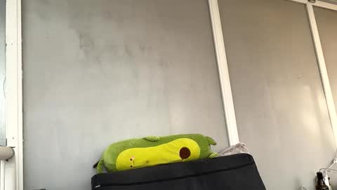 duracelshock online show from April 17, 2026, 4:54 pm