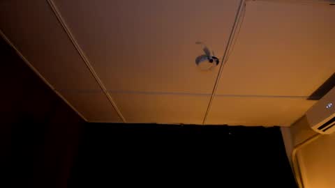 DUSTYN MICHELLE online show from April 11, 2026, 7:56 am