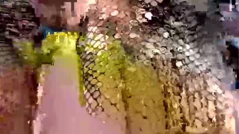 Snapshot of dwadek081704 chatting on September 19, 2025, 11:33 am dwadek081704 online show from September 19, 2025, 11:33 am