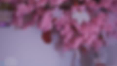 Dwayne xx online show from December 15, 2024, 8:47 pm