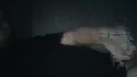 Snapshot of dxjbre chatting on January 8, 2026, 9:50 pm dxjbre online show from January 8, 2026, 9:50 pm