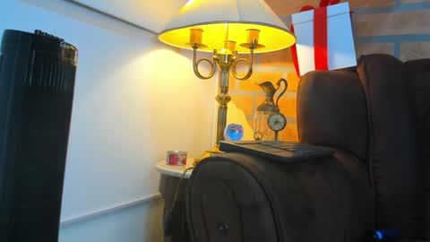 Snapshot of dylanstonne1 chatting on February 9, 2025, 3:53 am D Y L A N online show from February 9, 2025, 3:53 am