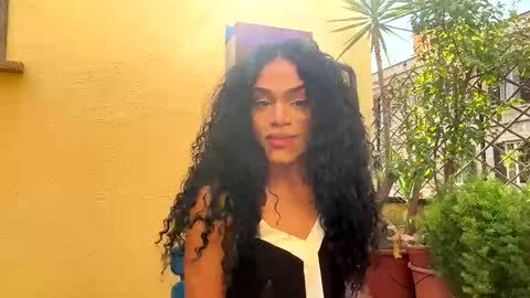 Dynasty online show from March 24, 2026, 2:22 pm