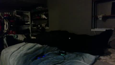 nastyboi801 online show from October 23, 2025, 8:46 am