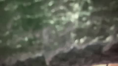 dzigi998 online show from February 2, 2025, 5:37 pm