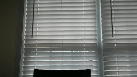 americnbarbie online show from October 29, 2025, 3:03 pm