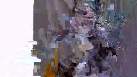 Snapshot of ebonyfire99 chatting on November 19, 2025, 6:13 am ebonyfire99 online show from November 19, 2025, 6:13 am