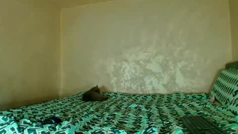 Snapshot of edavanessa7 chatting on November 14, 2025, 5:55 pm Nomyx OF check online show from November 14, 2025, 5:55 pm