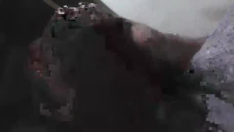 EddiesCock69 online show from April 17, 2026, 9:56 am