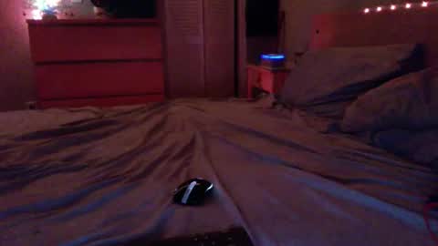 Steven online show from December 17, 2025, 2:17 am