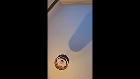 edinburgh79 online show from April 4, 2026, 9:34 pm