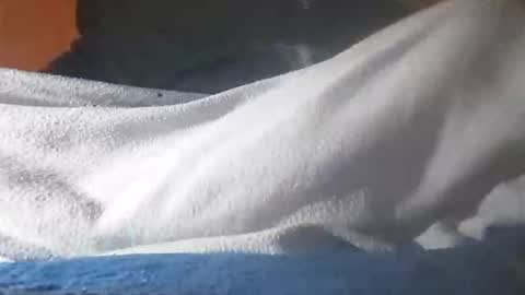 Davide online show from November 12, 2025, 6:36 am