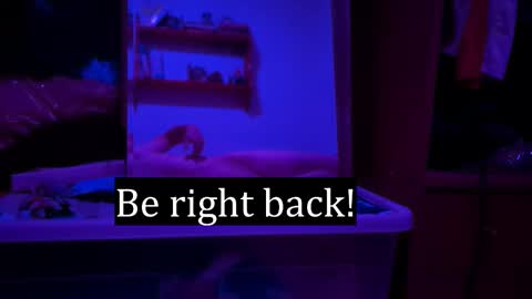 Snapshot of edwarh_01 chatting on February 7, 2026, 12:25 am Alex online show from February 7, 2026, 12:25 am